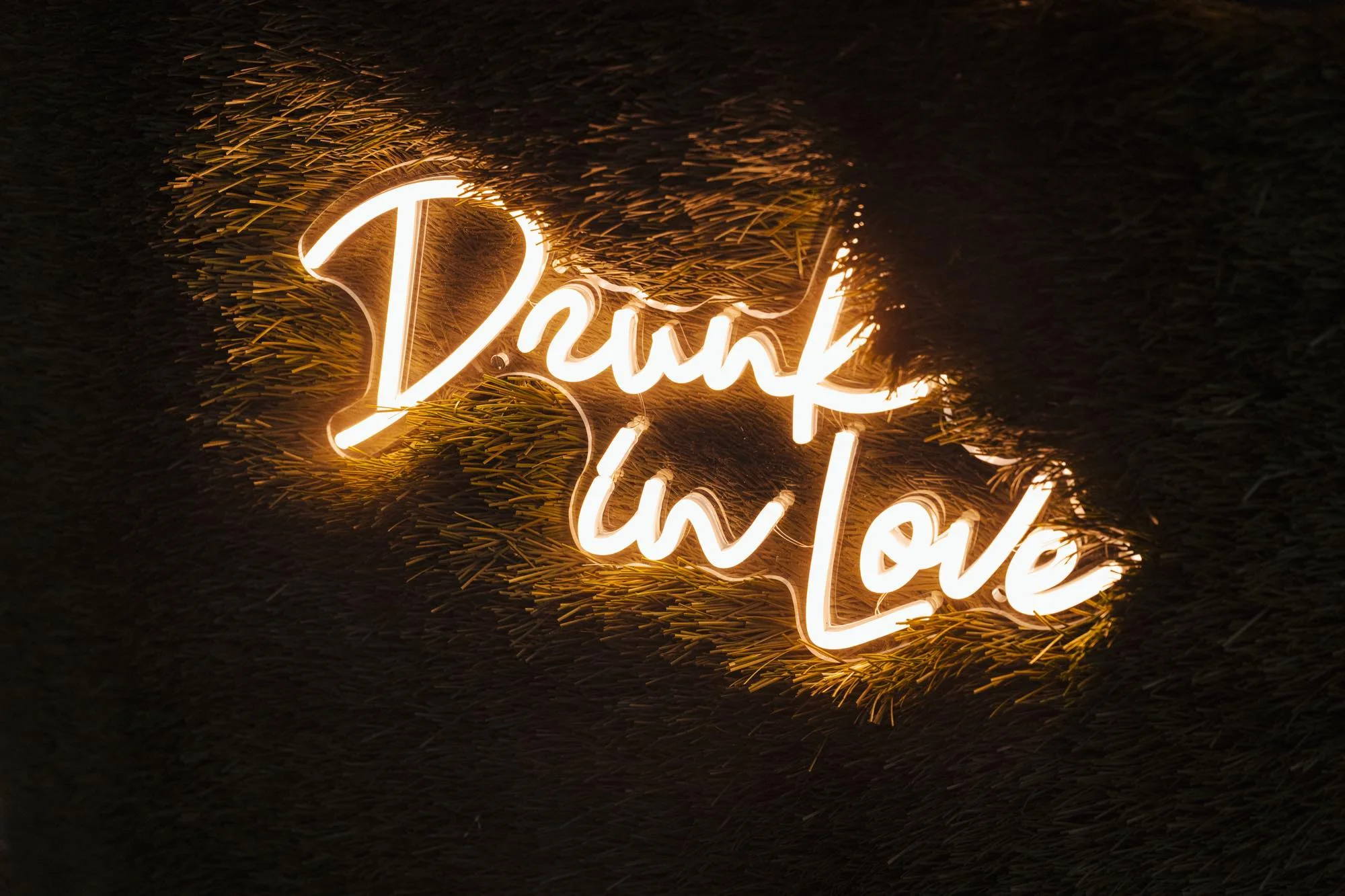 Néon lumineux Drunk in Love sur un mur végétal dans la pénombre
