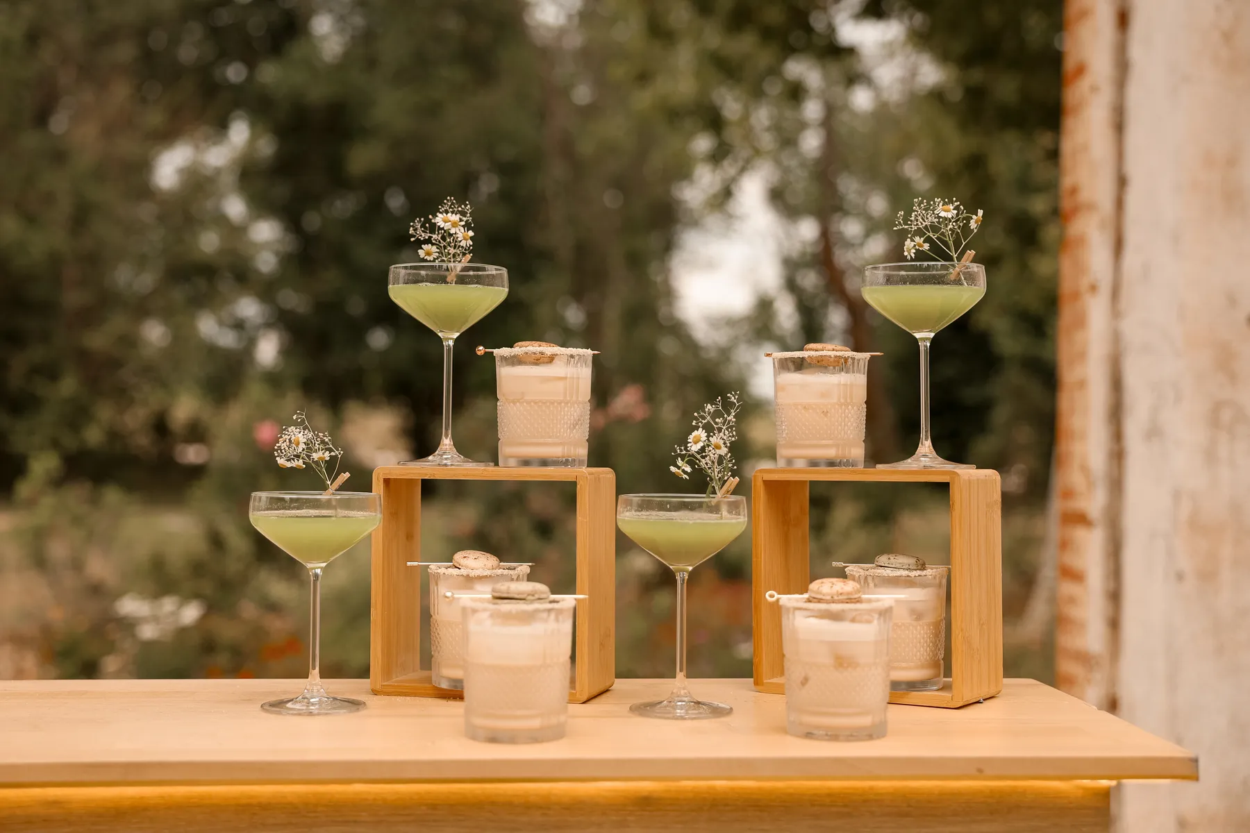 Cocktails dressés sur un bar en bois
